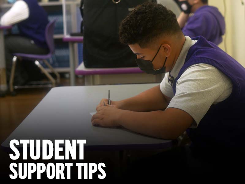 Student Tips